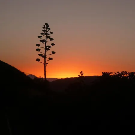 Séjour à la campagne Casa-cueva El Pastor